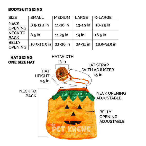 Halloween Pumpkin Dog & Cat Costume